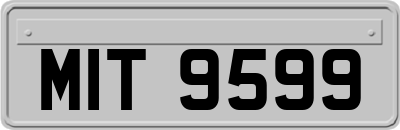 MIT9599