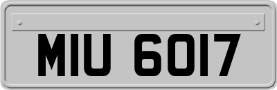 MIU6017