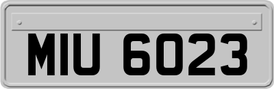MIU6023