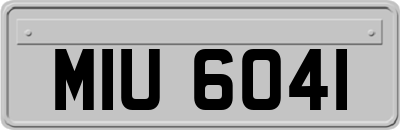 MIU6041