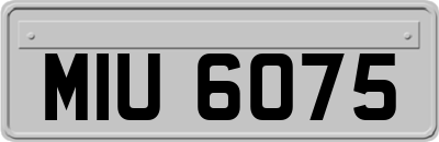 MIU6075