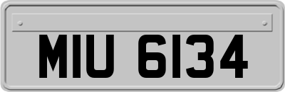 MIU6134