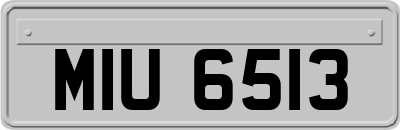 MIU6513