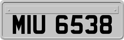 MIU6538