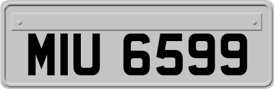 MIU6599