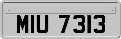 MIU7313
