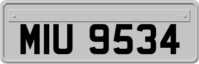 MIU9534
