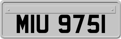 MIU9751