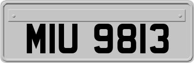 MIU9813