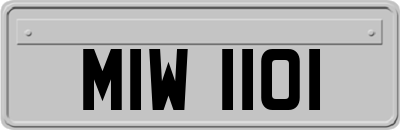 MIW1101