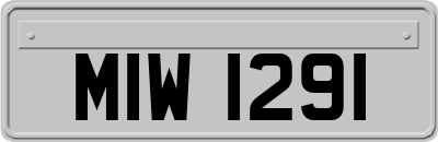 MIW1291