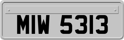 MIW5313