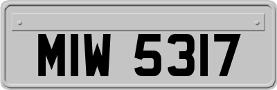 MIW5317