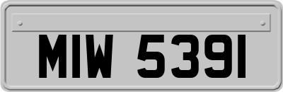 MIW5391