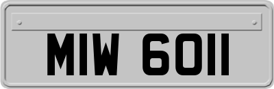 MIW6011