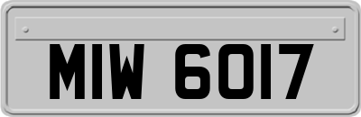 MIW6017