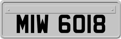 MIW6018