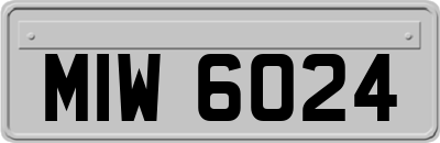 MIW6024