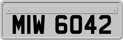 MIW6042