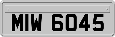 MIW6045