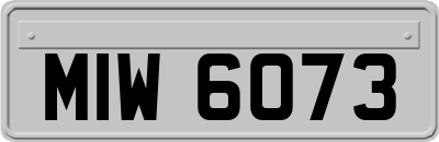 MIW6073