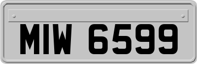 MIW6599
