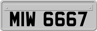 MIW6667
