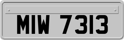 MIW7313