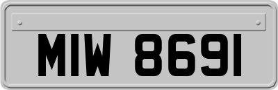 MIW8691
