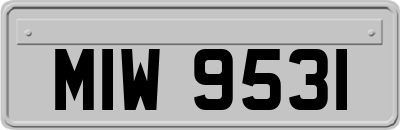 MIW9531
