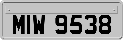 MIW9538