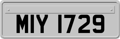 MIY1729