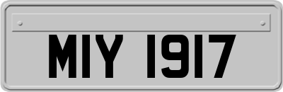 MIY1917
