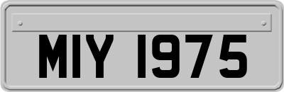 MIY1975