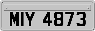 MIY4873
