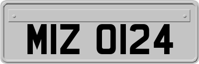 MIZ0124