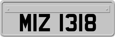 MIZ1318