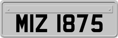 MIZ1875