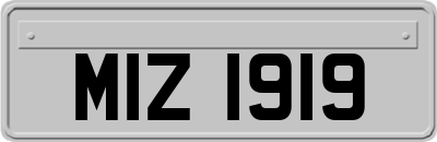 MIZ1919