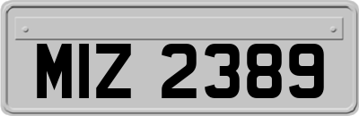 MIZ2389