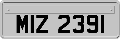 MIZ2391