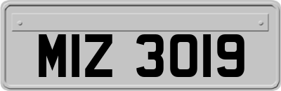 MIZ3019