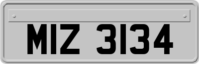 MIZ3134