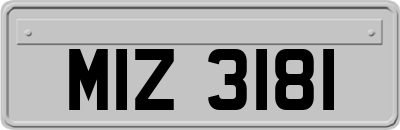 MIZ3181