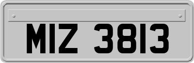 MIZ3813