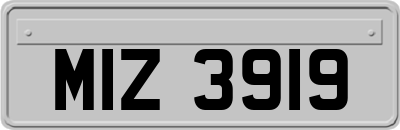 MIZ3919