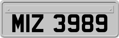 MIZ3989