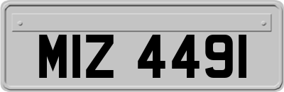 MIZ4491
