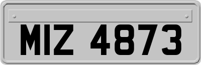 MIZ4873