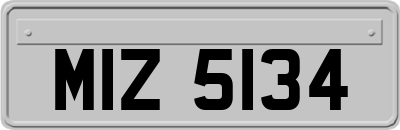 MIZ5134